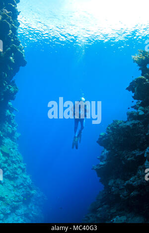 Scuba diver underwater. Swimming between two rocks at La Caleta Reef ...