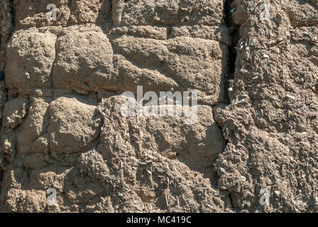 Old earthen bricks wall texture on primitive old house on daylight outside, close up Stock Photo
