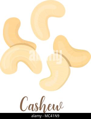 Vector group of cashew nuts isolated on white background Abstract vector illustration whole ripe white and brown cashew Stock Vector