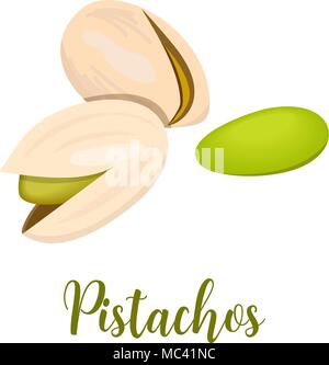 Pistachio nuts. Isolated on a white background. Vector illustration realistic pistachio kernels, Whole and cracked. Stock Vector