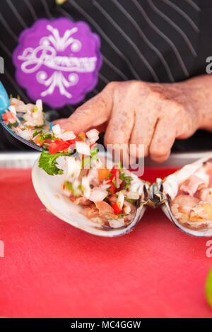 Pismo clams, La Guerrerense,  Ensenada, Baja California,  Mexico Stock Photo