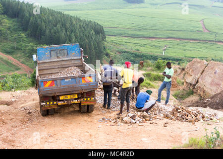 Lugazi, Uganda. June 18 2017. Ugandan male workers shovelling slabs of rock into a lorry (dump truck). Stock Photo