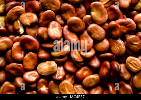 Organic dried broad beans background. Fava Vicia beans texture. Healthy food ingredients. Copy space Stock Photo