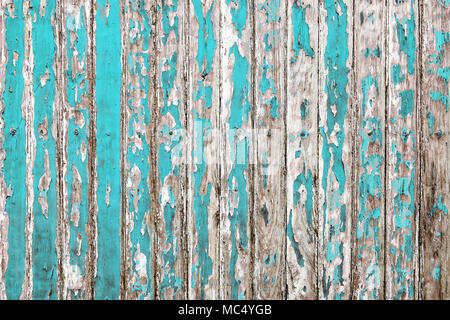 The old wooden wall painted with cyan color cracking, peeling and revealed the spike nail and rustic wood texture Stock Photo