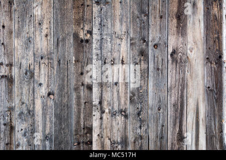 Wood template, texture, natural background. empty template Stock Photo