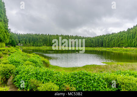 Lake Lagoa das Empadadas in Portuguese, surrounded by green forest, located on Sao Miguel, Azores, Portugal Stock Photo