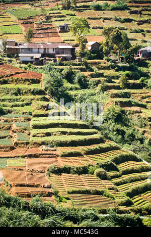 Vertical view of the small village in the tea plantations in Nuwara Eliya, Sri Lanka. Stock Photo