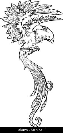 Hand drawn long tail bird illustration, vector, vertical Stock Vector