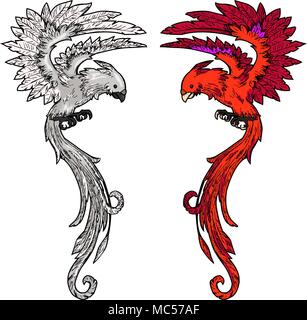 Hand drawn long tail bird illustration, vector, vertical Stock Vector