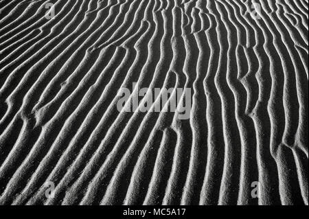 Sand ripples on a  sand dune in Bruneau Dunes State Park, Idaho.  Persistent winds continually move sand and constantly erase tracks made by humans, a Stock Photo