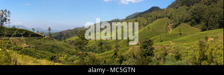 Horizontal panoramic view of the Nanu-oya river valley in Nuwara Eliya, Sri Lanka. Stock Photo