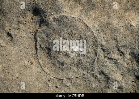 Photo of dinosaur fossils (eggs) captured Balasinor fossil park, Gujarat,India. Stock Photo