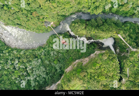 An overhead aerial perspective shows a winding river cutting through a lush, dense forest. The river flows over rocks and forms small rapids and a visible waterfall, with white water contrasting Stock Photo