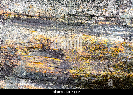 close up of colorful gneiss stone background Stock Photo