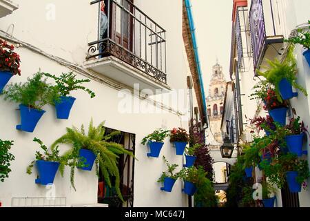 Calleja de Las Flores (Street of Flowers, Cordoba, Spain Stock Photo