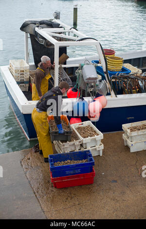 Fishing harbour in Folkestone Kent Stock Photo