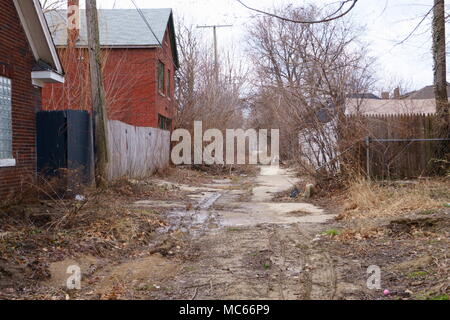 Alley abandoned in Detroit where nature has regained its rights. Stock Photo