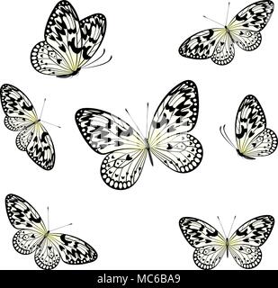stylized butterflies flying on a white background Stock Vector