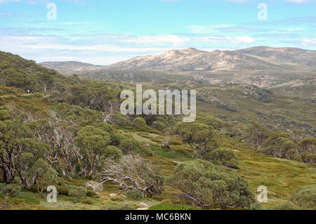 View from the Charlotte Pass of the Snowy Mountains in summer - New South Wales, Australia Stock Photo