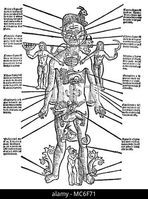 Zodiacal Man, with each of the twelve signs apportioned to parts of the external physical body - for example, the Ram of Aries is directed to the head, for this sign has rule over human mentation. Fifteenth century woodcut. Stock Photo