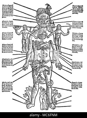 Zodiacal Man, with each of the twelve signs apportioned to parts of the external physical body - for example, the Ram of Aries is directed to the head, for this sign has rule over human mentation. Fifteenth century woodcut. Stock Photo