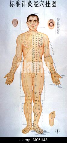 Chinese Acupuncture Chart, showing the healing lines on the front of the body Stock Photo