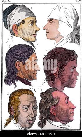 PHYSIOGNOMY - LAVATER Six 'physiognomic' examples of heads, in relation to different racial types, from a plate in the 1790 edition of Johann Kaspar Lavater (1741-1801) Physiognomische Fragmente, which he wrote with the assistance of Goethe. This plate relates to page 82 of Volume II of the English translation, wherein the six heads are discussed.