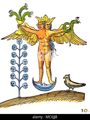 ALCHEMY - Rosarium Philosophorum. Figure from 1550 edition of the ...