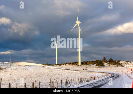 Wind turbines of the Cezallier windfarm, Puy de Dome, Auvergne, France Stock Photo