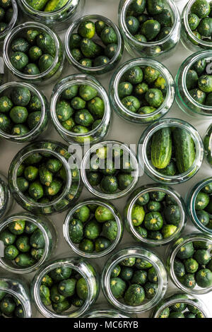 Top view of jars of prepared cucumbers ready to pickling Stock Photo