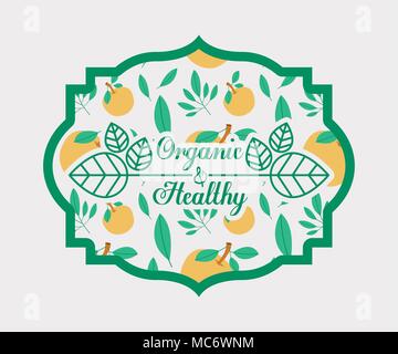 frame with leafs and oranges of organic and healthy food vector illustration Stock Vector