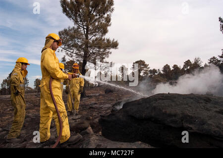Forest firefighters putting out the embers of a forest fire, Spain Stock Photo