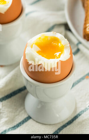 Homemade Soft Boiled Egg in a Cup with Toast Stock Photo