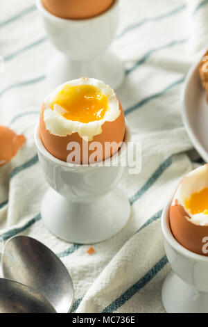 Homemade Soft Boiled Egg in a Cup with Toast Stock Photo