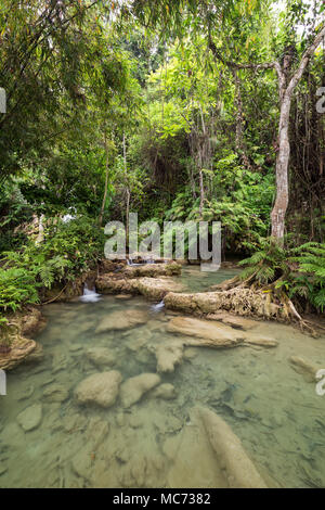 View of shallow ponds and lush trees and plants next to the Khoun Moung Keo Waterfall near Luang Prabang in Laos. Stock Photo