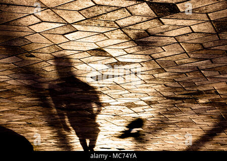 Blurry shadow silhouette of a person and a bird in motion on city patterned sidewalk in sunset Stock Photo