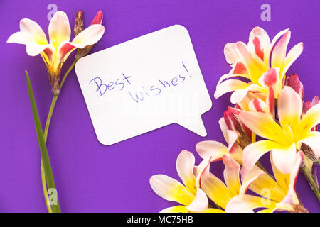 Note in shape of heart with words 'Best Wishes!' with flowers on purple surface. Stock Photo