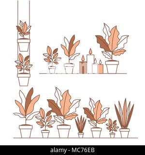 group of houseplants home decorations Stock Vector