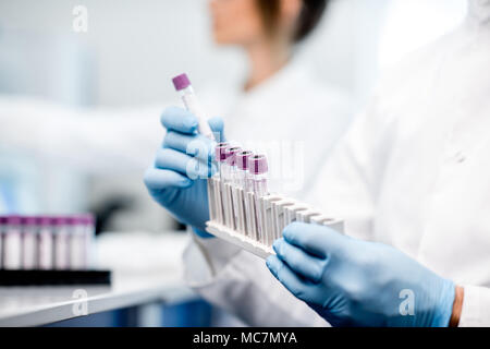 Laboratory assistant putting test tubes into the holder Stock Photo - Alamy