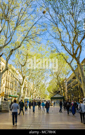 La Rambla in Barcelona, busy with tourists. Lined by trees sprouting into leaf, the road is flanked by shops and restaurants. Stock Photo