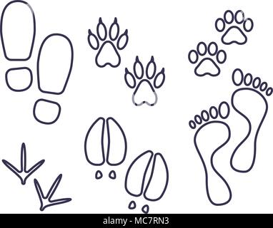 Traces of human and amimals, outline tracks, trials of cat, dog, bird, cow, human Stock Vector