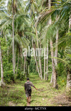 A path in the rainforest among high palm trees, Mushu Island, Papua New Guinea Stock Photo