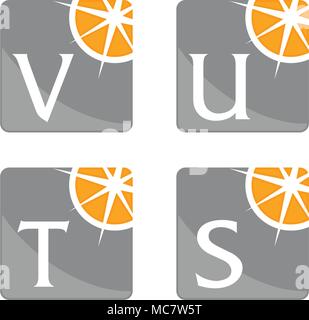 Compass Guide Solutions Template Set Stock Vector