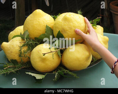 Young smooth hand reaching for lumpy large yellow lemon in Pompeii Stock Photo