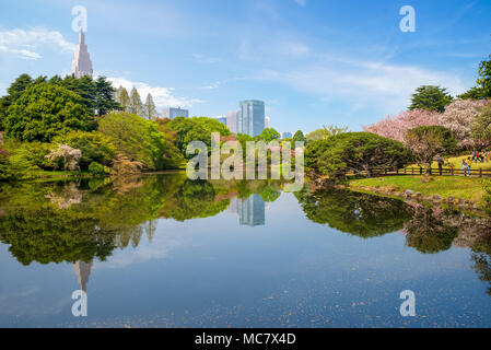 Landscape of Shinjuku Gyoen with cherry blossom Stock Photo