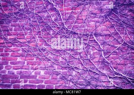 Ultra purple Brick wall stone background - texture for continuous rocks. Stock Photo