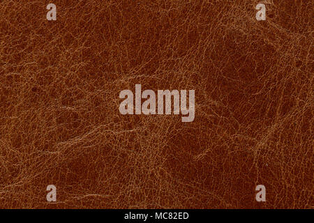 Expensive leather texture in amazing stylish colours. Stock Photo