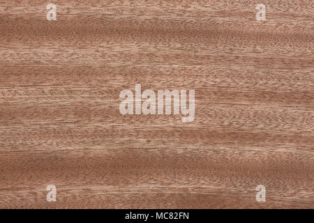 New veneer texture in your ideal colour. Stock Photo