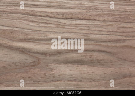 Awesome veneer texture in gentle light colours. Stock Photo
