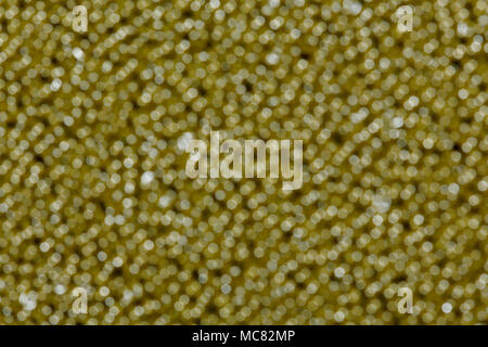 Emerald brown shiny defocused lights. Stock Photo